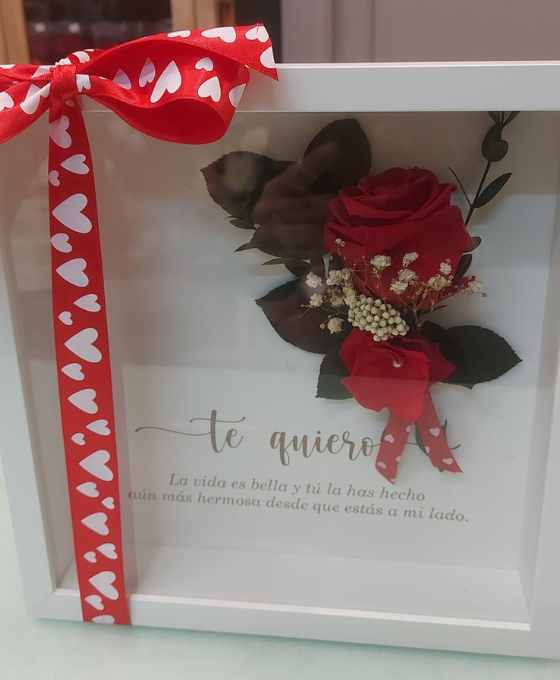 Marco Rosa Preservada